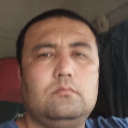 �����, �����-���������, 40 ���