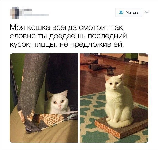    - 18  2023  23:37