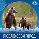 ���� ��������, ����, 56 ��� - ��������� 9 ���� 2023 � ������ ���� ����������