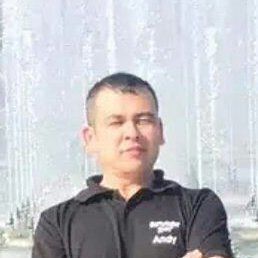 �����, �������, 41 ���