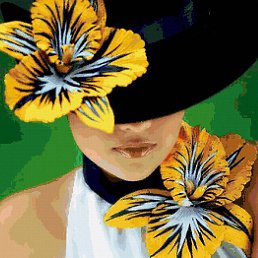 ����, �����������, 48 ���