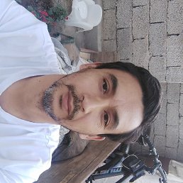 ������, �����, 40 ���