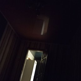 , , 31 
