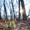 ���� Vladimir, �������, 50 ��� - ��������� 1 ����� 2023 � ������ ���� ����������