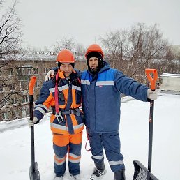 ����, ������, 49 ���