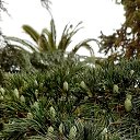 ���� ����, ����� - ��������� 29 �������� 2023 � ������ ���������� ������