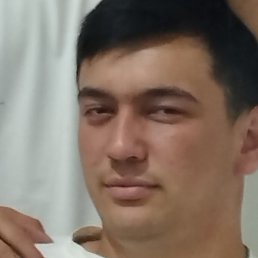 Jama, �����, 24 ����