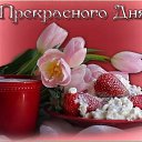 ���� ������, ������, 84 ���� - ��������� 22 ������ 2023 � ������ ���� ����������