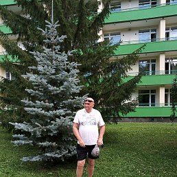 Wladimir, �����������, 65 ���