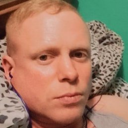 ������, �����-���������, 41 ���