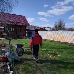 ���� �����, ������, 61 ��� - ��������� 19 ���� 2023