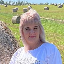 �����, ������, 51 ���