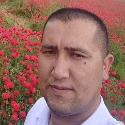 ������, ������, 27 ���