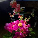 ���� ������, �����, 42 ���� - ��������� 14 ������ 2023 � ������ ������ ��������