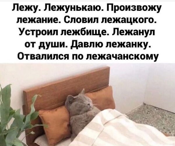   ! - 28  2023  07:08