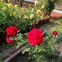 ���� �������, ������������, 67 ��� - ��������� 28 ������ 2023 � ������ ���� ����������