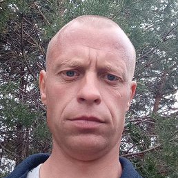 �������, ����-�����������, 41 ���