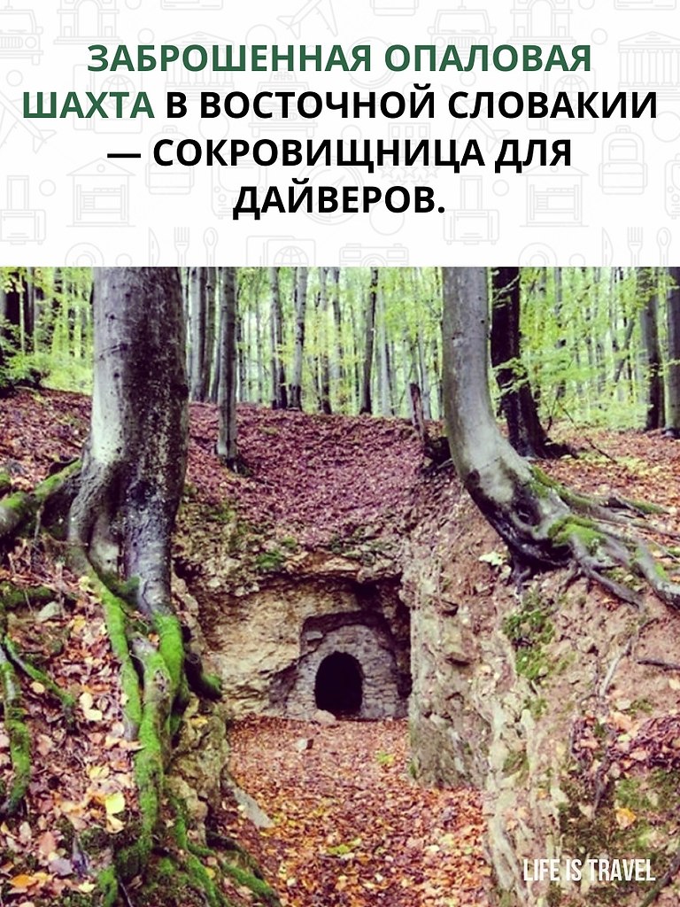      - .    ,   