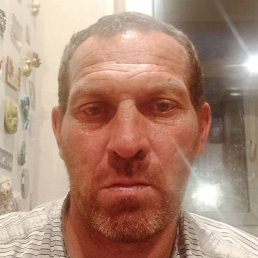 ����, ������, 48 ���