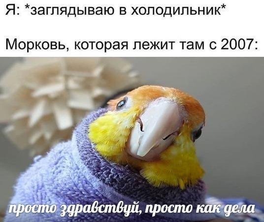    - 24  2023  14:31