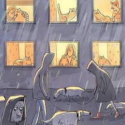 �, ������, 55 ���