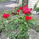 ���� ����, ���������, 75 ��� - ��������� 3 ��� 2023