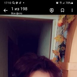 ���� �����, ������, 52 ���� - ��������� 7 ������ 2023