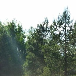 ���� �����, ��������, 57 ��� - ��������� 18 ���� 2023