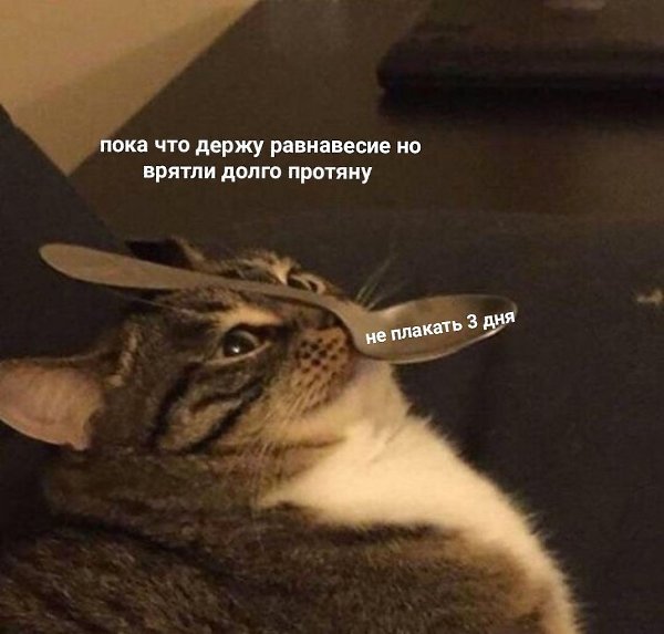    - 10  2023  06:19