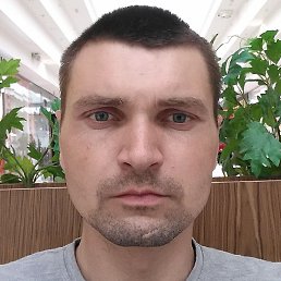 ������, �����, 37 ���