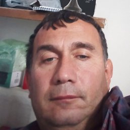 ����, ������, 44 ����