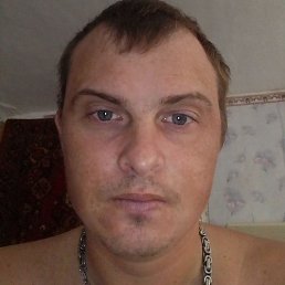 �������, ��������, 31 ���