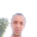  , , 51  -  8  2023    