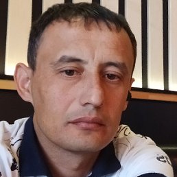 ����, �����-���������, 33 ����