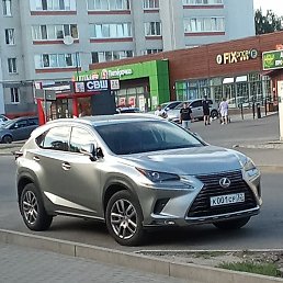 �������, ������, 37 ���