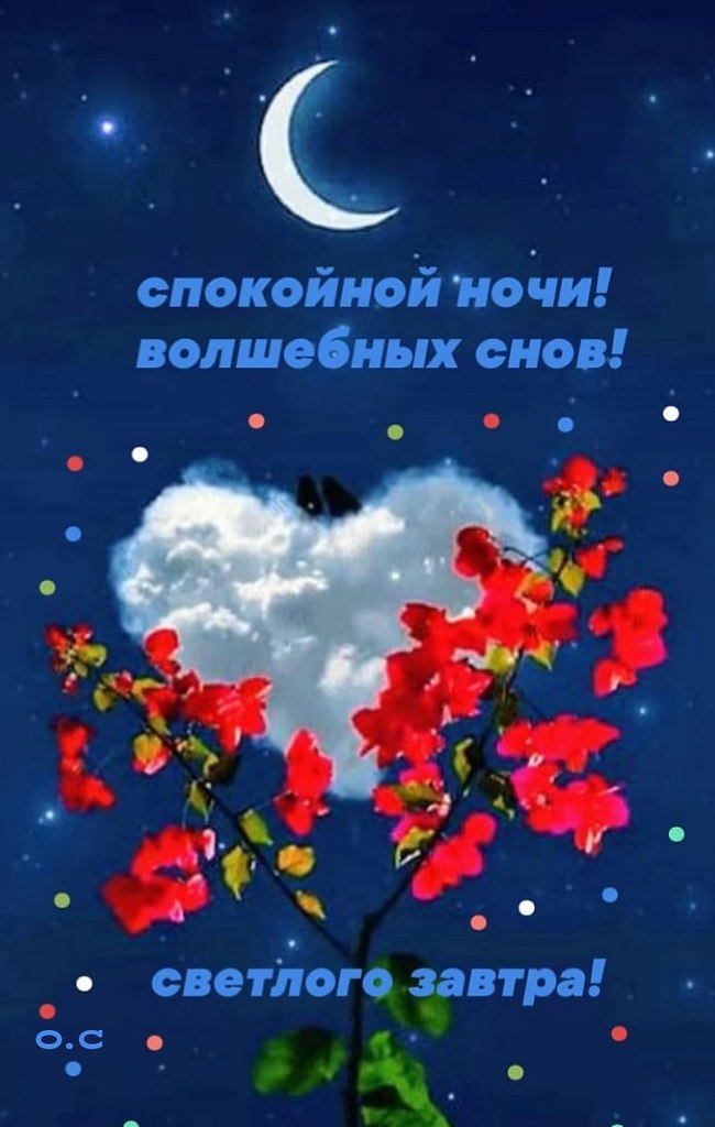   ,    . - 15  2023  20:48