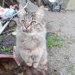 ���� �������, �����������, 55 ��� - ��������� 24 ������� 2023