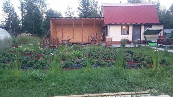 Как сделать летнюю веранду своими руками - 6
