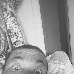 +998932240390 Telegram, ���������, 35 ���