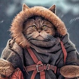 �����, ���������, 51 ���