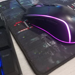 ������, ������������, 43 ����