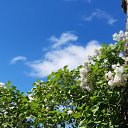  , -, 55  -  30  2023    