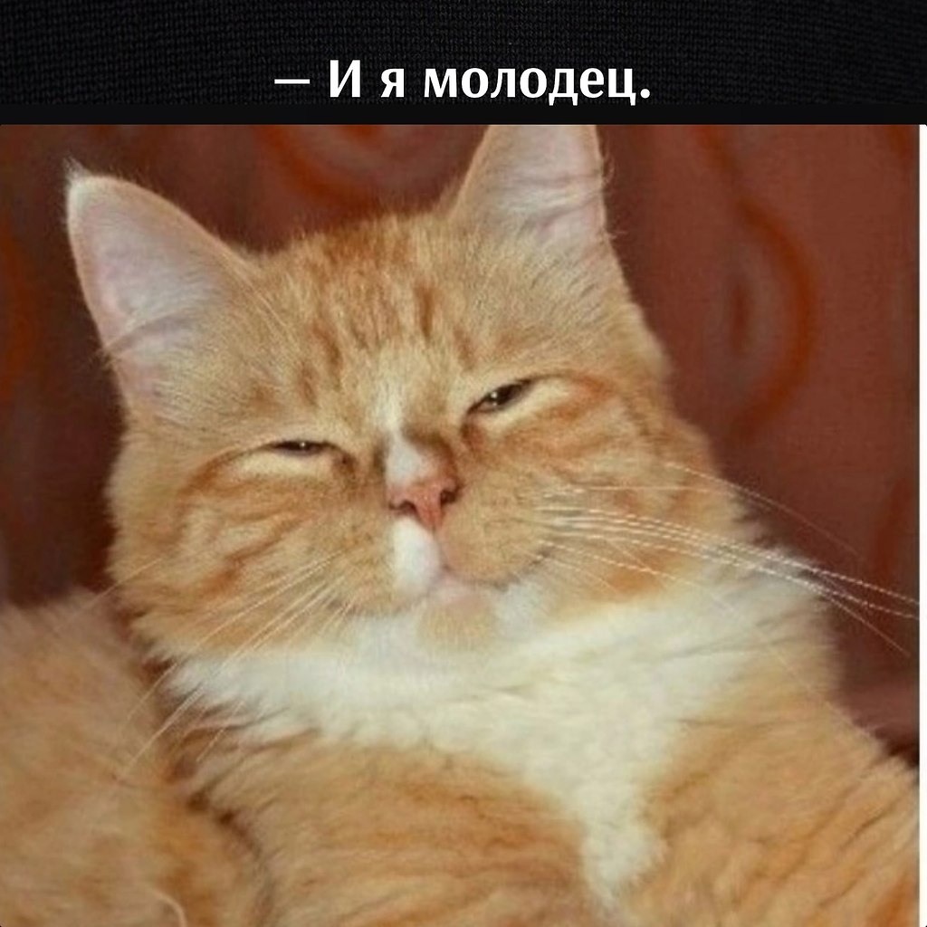       - 11  2023  17:07 - 4