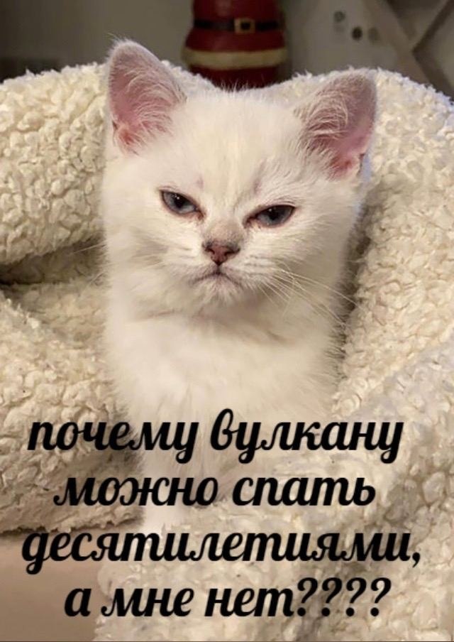    - 20  2023  22:31