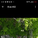 ���� ���, �������, 38 ��� - ��������� 28 ������� 2023