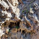 ���� �����, �������, 61 ��� - ��������� 10 �������� 2023 � ������ ���� ����������