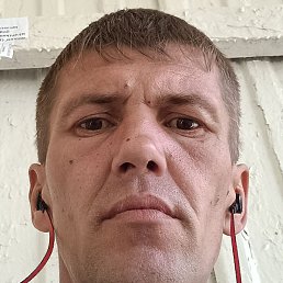 ������, ���������, 41 ���