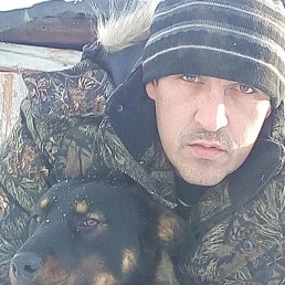 ��������, �����������, 43 ����