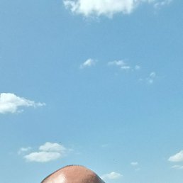 ����, ���������, 41 ���