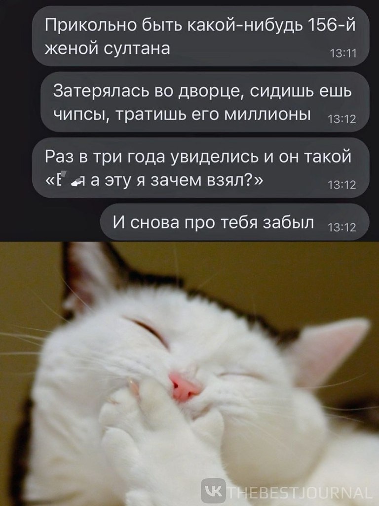   ., ,             ...